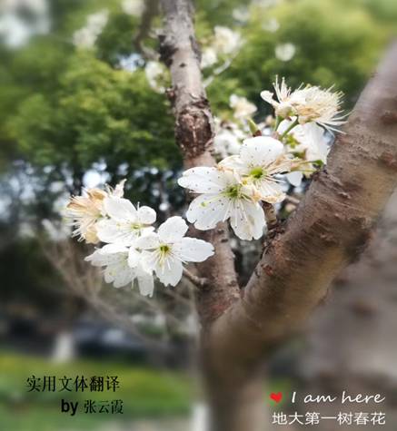 //chengrenav.net/__local/0/57/0F/CA3A8440F354120DF2A42439B9B_9D94EB90_712D.jpg